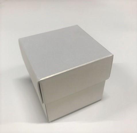 Stříbrná krabička s víčkem 
